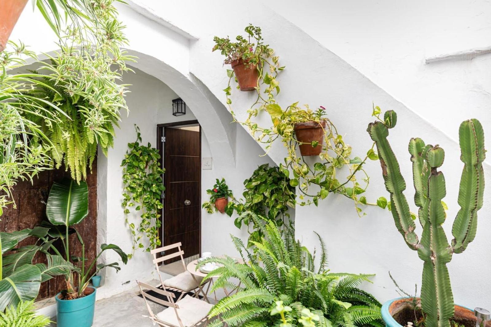 Casa La Fontana 3 Apartamento Vejer de la Frontera Exterior foto